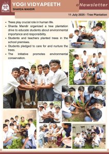 Tree Plantation