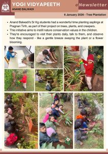 Tree Plantation